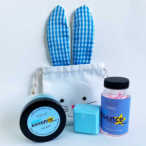 Star Essence FOCUS Purposeful Play Set